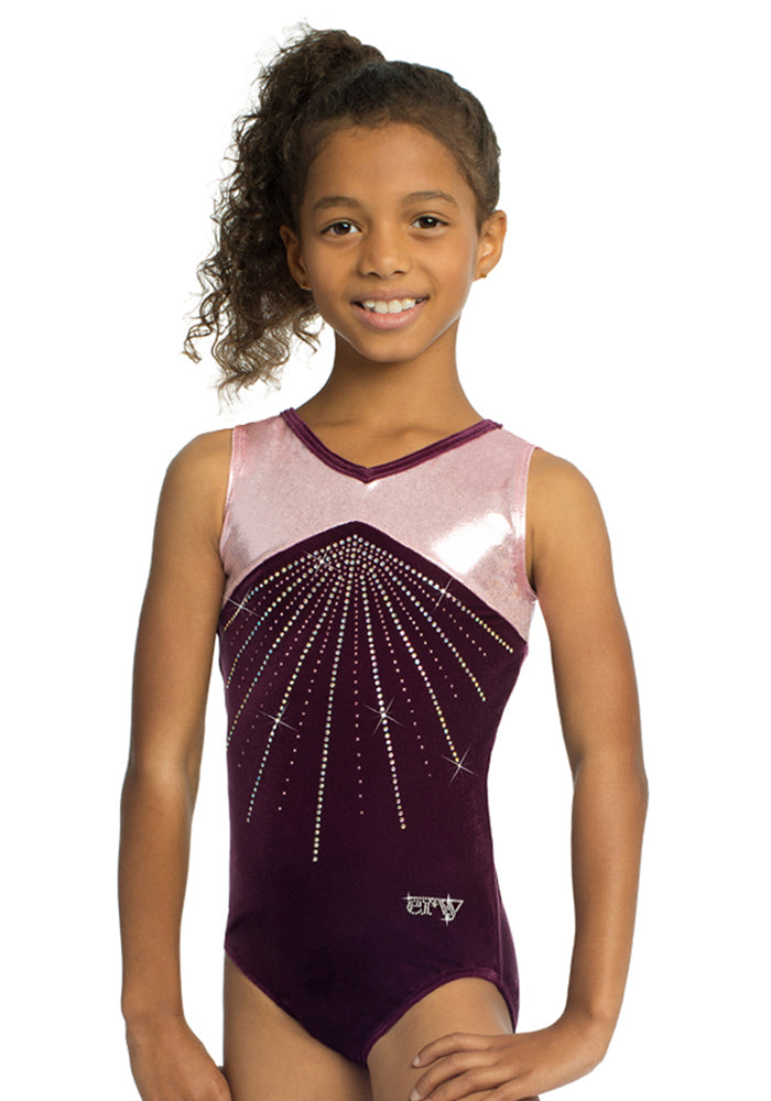 Ervy Sonne Leotard Aubergine And Bubblegum Pink Elite Gymnastics